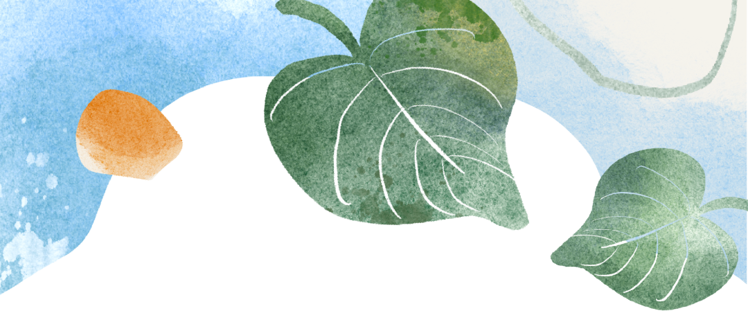 8a16d50e55178d06e72e220ee836aea3.png